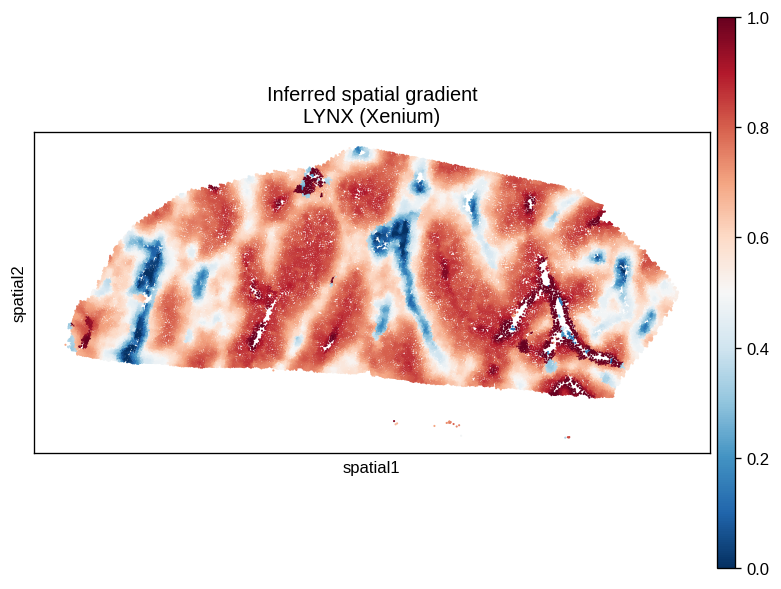 ../_images/tutorials_liver_15_2.png